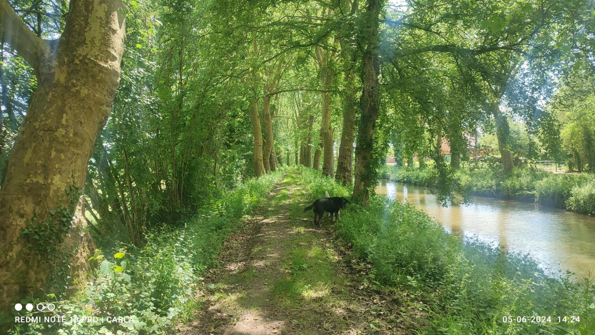 Gite Le Delice Villa Tannay  Kültér fotó