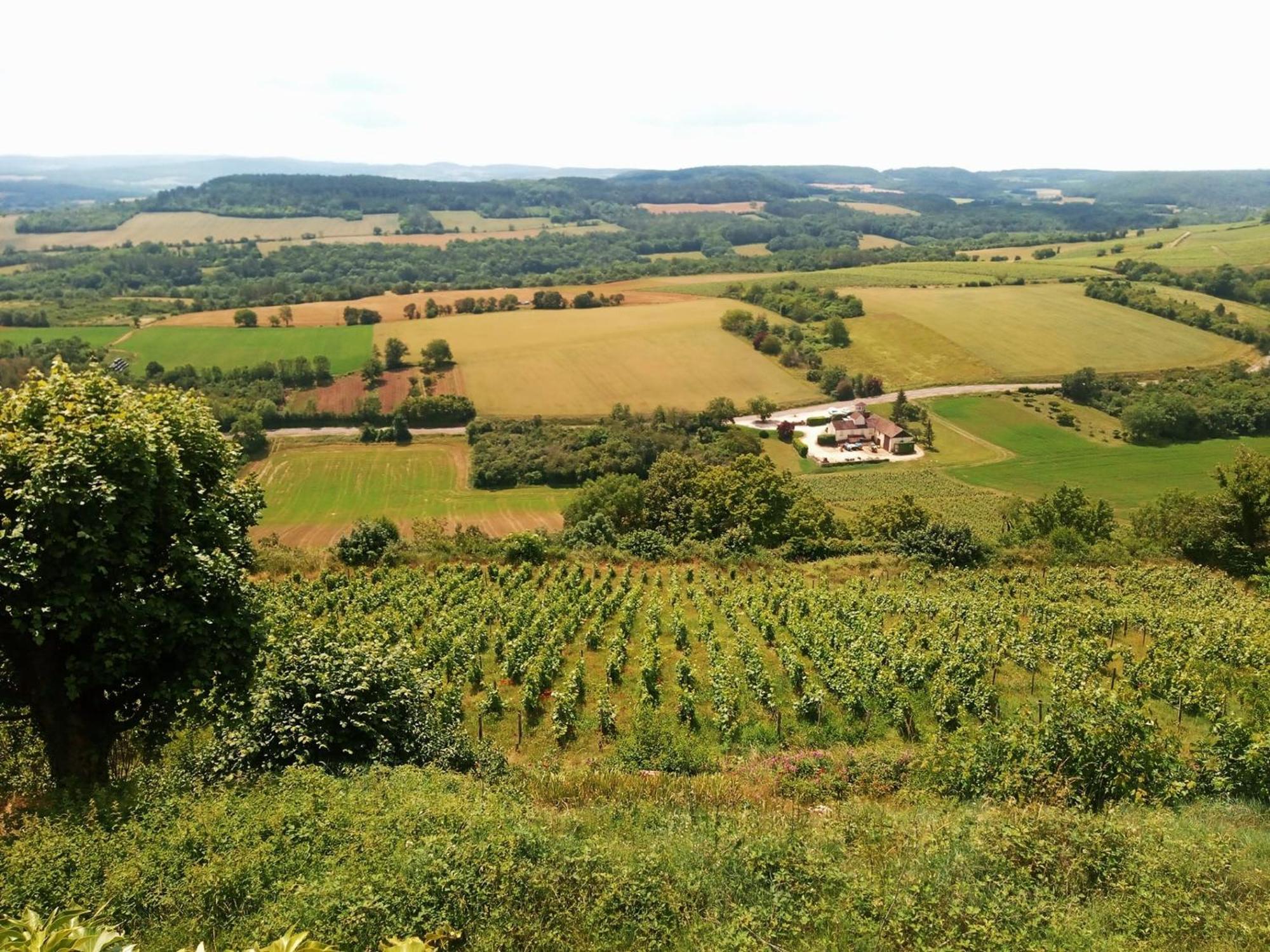 Gite Le Delice Villa Tannay  Kültér fotó